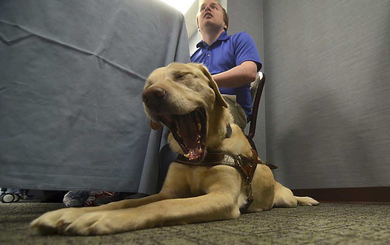 Doggone confusion over service, support animals
